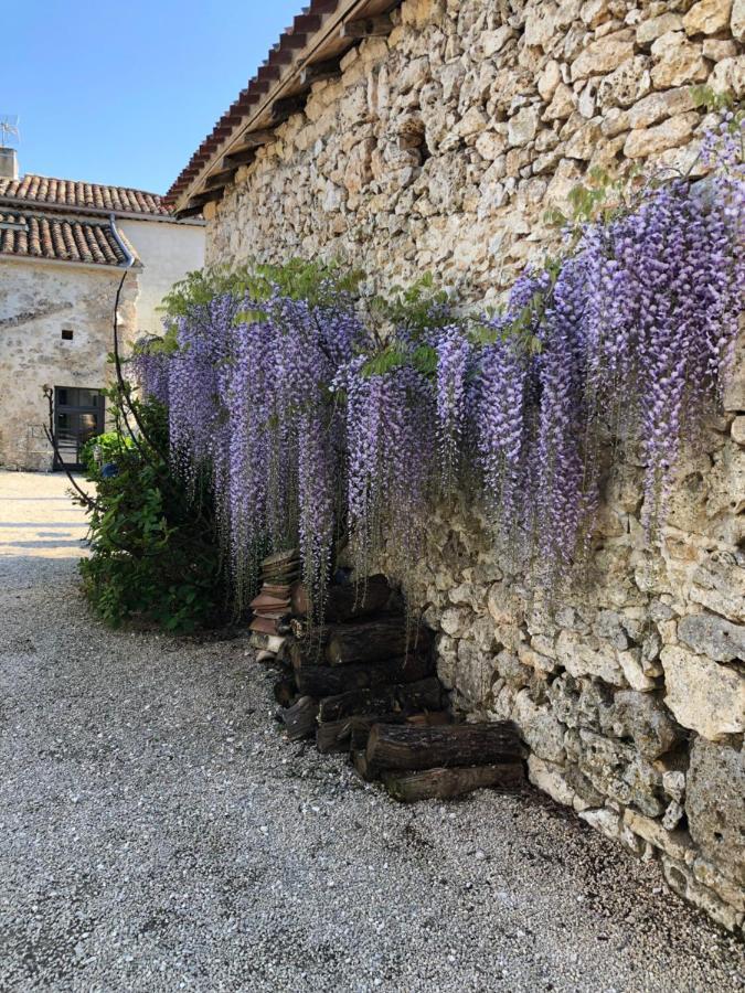 Le Gite De La Maison Des Chats - Gite En Quercy Saint-Amans-du-Pech Eksteriør billede